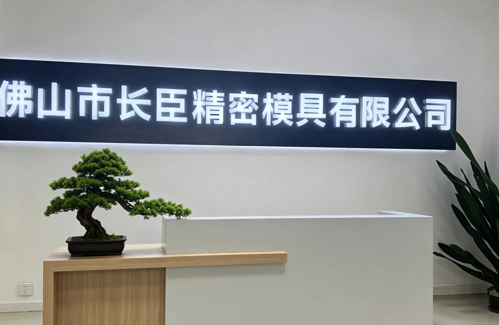 Reception area shown in the supplied company album.